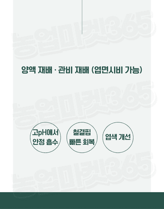 농업마켓365님의 작성글 사진