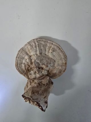 농장지기1님의 자유주제 · 자유게시판 작성글 사진