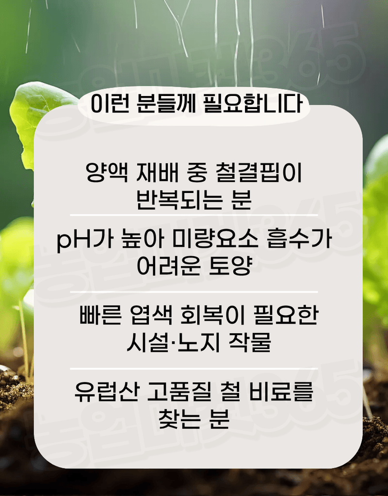 농업마켓365님의 장터 판매 상품 [유로솔리드 유럽산 DTPA철 6% 액상비료 20L 양액비료 관주비료 백화개선 철결핍케어] 첨부 사진