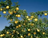 팜모닝 자유주제·자유게시판 게시글 이미지