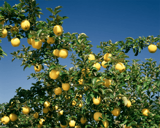 김태혁님의 자유주제 · 자유게시판 작성글 사진