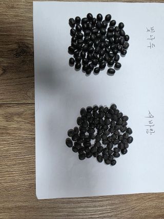 이동준님의 콩 · 자유게시판 작성글 사진