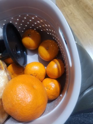 복숭아5808님의 작성글 사진