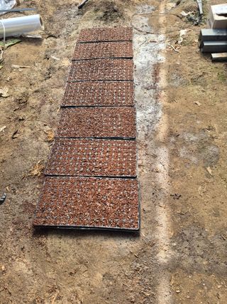 허굴산농장님의 자유주제 · 자유게시판 작성글 사진