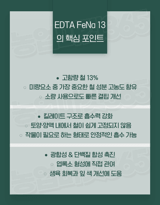 농업마켓365님의 작성글 사진