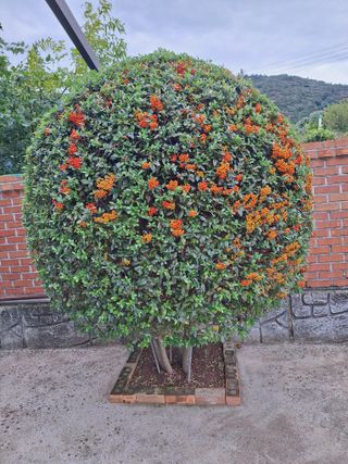 김은숙님의 작성글 사진