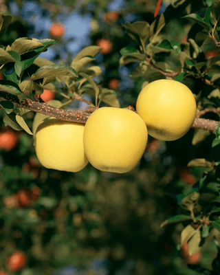 김태혁님의 자유주제 · 자유게시판 작성글 사진
