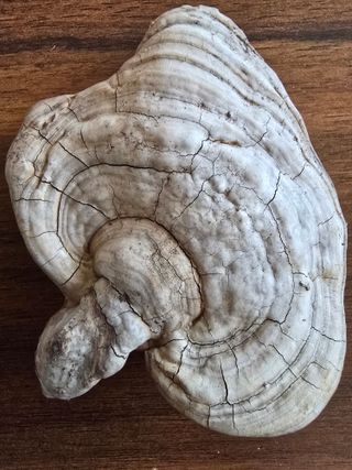 농장지기1님의 자유주제 · 자유게시판 작성글 사진