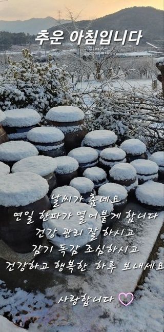 MSG0074님의 자유주제 · 자유게시판 작성글 사진