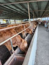 팜모닝 · 게시글 이미지