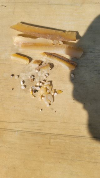 권리를위한투쟁님의 자유주제 · 자유게시판 작성글 사진