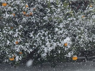 하나라도 소중하게님의 자유주제 · 자유게시판 작성글 사진