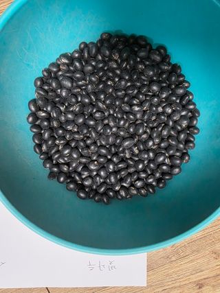 이동준님의 콩 · 자유게시판 작성글 사진