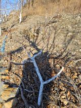 김용대님의 자유주제·자유게시판 작성글 사진