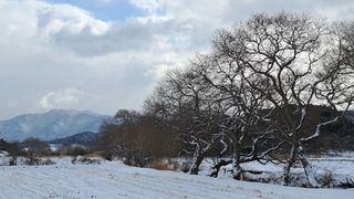 이정운님의 자유주제 · 자유게시판 작성글 사진