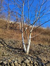 김용대님의 자유주제·자유게시판 작성글 사진