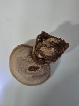 농장지기1님의 자유주제·자유게시판 작성글 사진