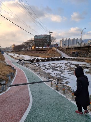 MSG0074님의 자유주제 · 자유게시판 작성글 사진