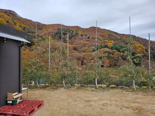 최종하님의 작성글 사진