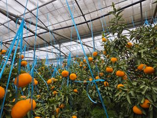 조상균님의 자유주제 · 자유게시판 작성글 사진