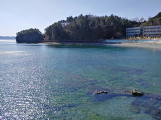 이현상님의 자유주제 · 자유게시판 작성글 사진