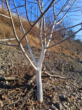 김용대님의 자유주제·자유게시판 작성글 사진