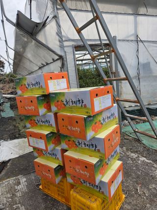 조상균님의 자유주제 · 자유게시판 작성글 사진