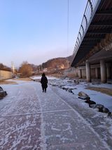 MSG0074님의 자유주제·자유게시판 작성글 사진