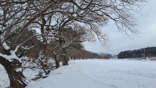 이정운님의 자유주제 · 자유게시판 작성글 사진