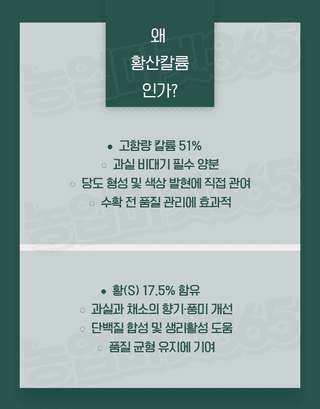 농업마켓365님의 작성글 사진