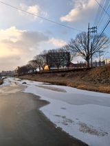 MSG0074님의 자유주제·자유게시판 작성글 사진