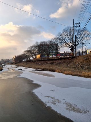 MSG0074님의 자유주제 · 자유게시판 작성글 사진