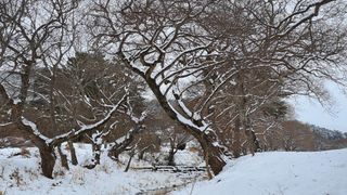 이정운님의 자유주제 · 자유게시판 작성글 사진