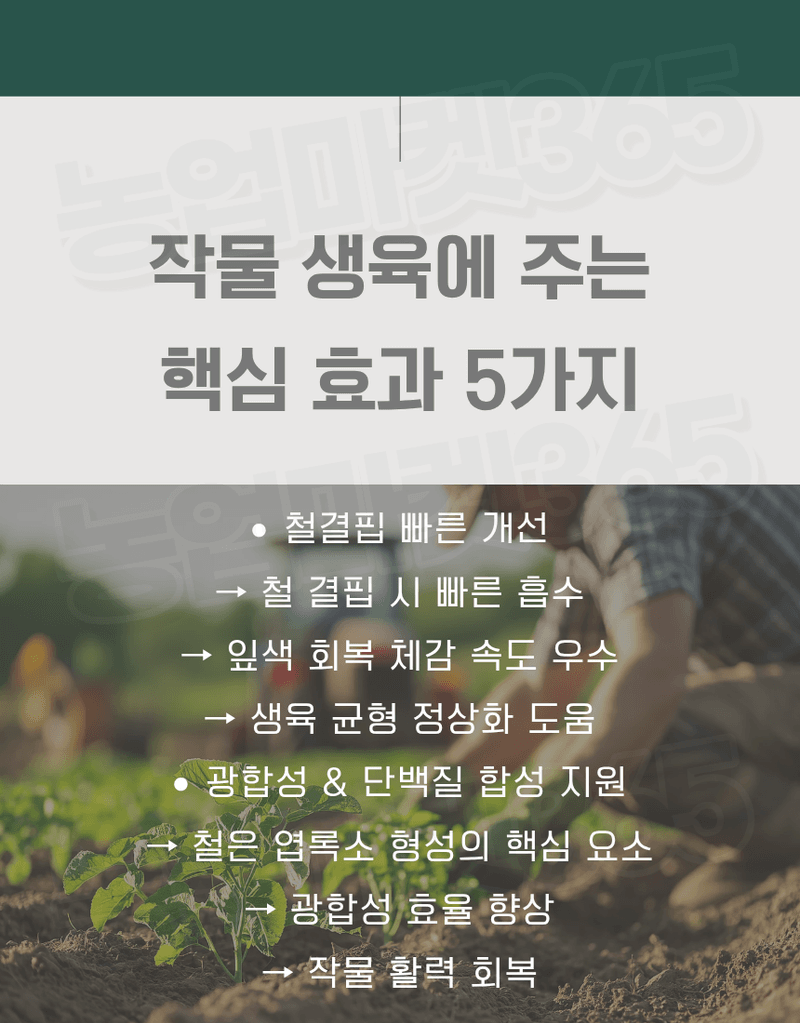 농업마켓365님의 장터 판매 상품 [유로솔리드 유럽산 DTPA철 6% 액상비료 20L 양액비료 관주비료 백화개선 철결핍케어] 첨부 사진