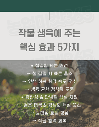 농업마켓365님의 작성글 사진