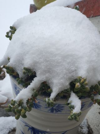 하나라도 소중하게님의 자유주제 · 자유게시판 작성글 사진
