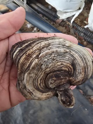 농장지기1님의 자유주제 · 자유게시판 작성글 사진