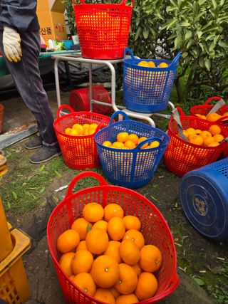 조상균님의 자유주제 · 자유게시판 작성글 사진