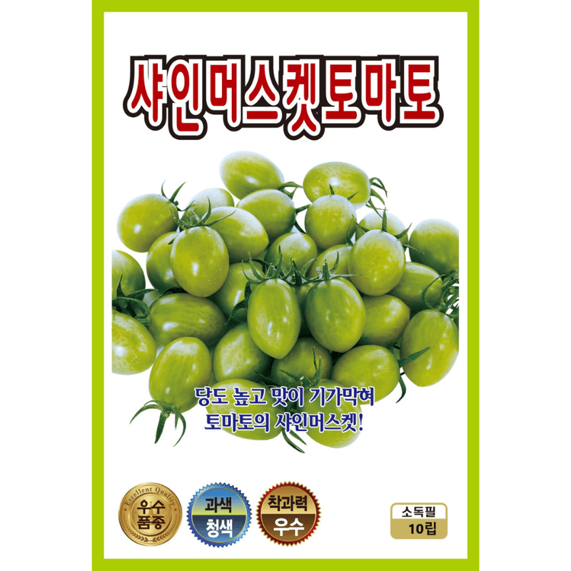 주주씨앗님의 장터 판매 상품 [샤인머스켓 방울토마토 씨앗 10립 / 초록색 이색 방울토마토 채소씨앗] 첨부 사진