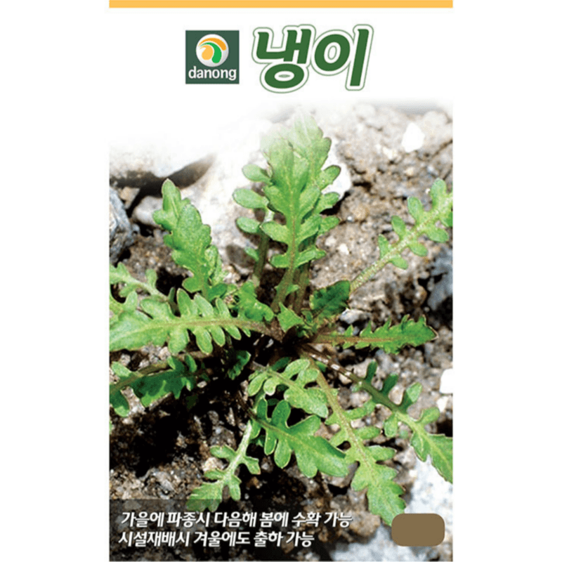 주주씨앗님의 장터 판매 상품 [냉이 씨앗 3g 약 4만립 / 건강나물 냉이 종자 민속채소 씨앗] 첨부 사진