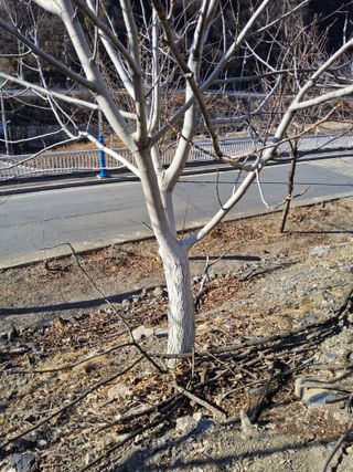 김용대님의 자유주제 · 자유게시판 작성글 사진