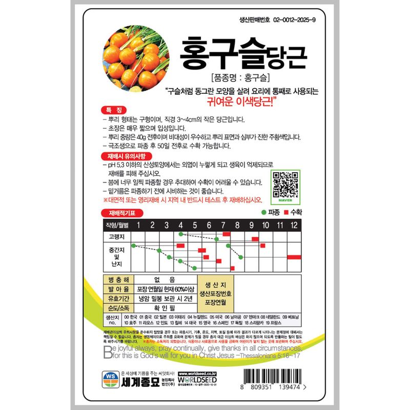 주주씨앗님의 장터 판매 상품 [미니당근 씨앗 500립 / 구슬처럼 동그란 극조생종 홍구슬 당근 씨앗] 첨부 사진