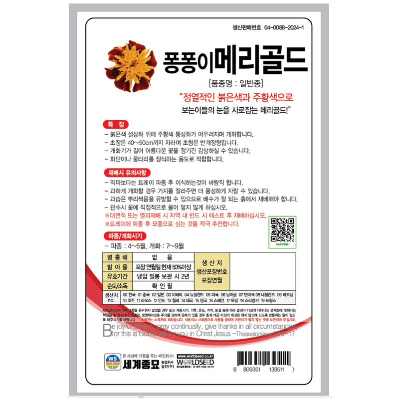 주주씨앗님의 장터 판매 상품 [메리골드 씨앗 50립 / 이색적이고 꽉 찬 꽃잎 일년생 꽃씨앗] 첨부 사진
