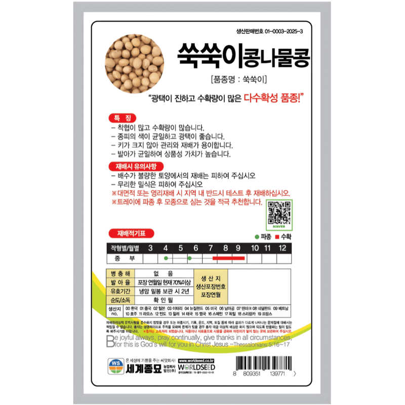 주주씨앗님의 장터 판매 상품 [콩나물씨앗 30g, 쑥쑥이 콩나물콩 빠른수확 가정재배 채소씨앗] 첨부 사진