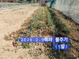 박성민님의 자유주제 · 자유게시판 작성글 사진