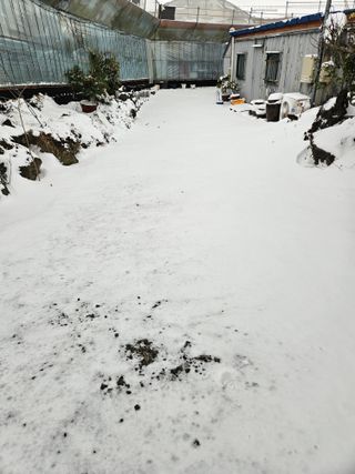 제주 지안이네농장님의 자유주제 · 자유게시판 작성글 사진