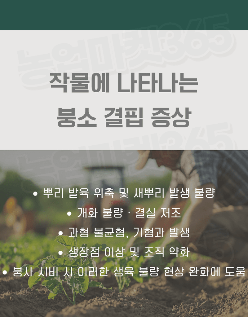 농업마켓365님의 장터 판매 상품 [U.S.Borax 미국산 고순도 붕사 48% 25KG 토경재배용 붕소결핍개선 붕소공급] 첨부 사진