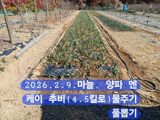 박성민님의 자유주제 · 자유게시판 작성글 사진