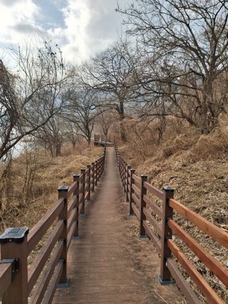 MSG0074님의 자유주제 · 자유게시판 작성글 사진