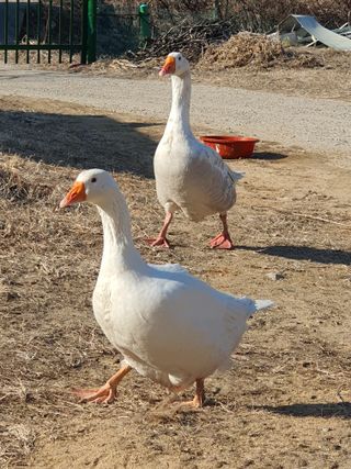 정성영님의 작성글 사진
